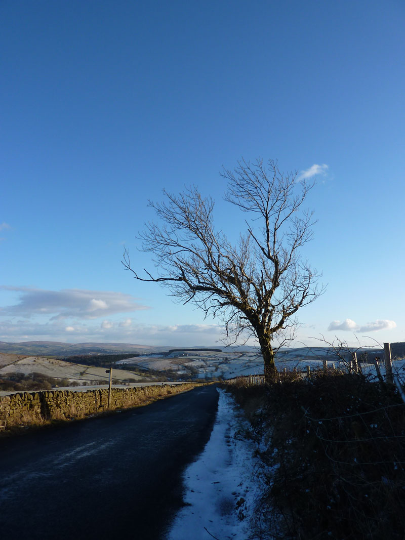 Pendle roadside